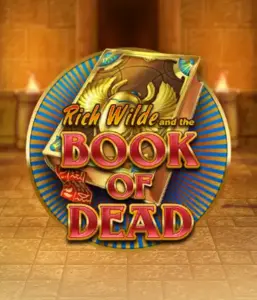 Embark on the thrilling world of Book of Dead Slot by Play'n GO, showcasing vivid graphics of Rich Wilde’s adventurous journey through ancient Egyptian tombs and artifacts. Discover lost riches with engaging mechanics like free spins, expanding icons, and a gamble option. Ideal for adventure enthusiasts with a desire for thrilling discoveries.